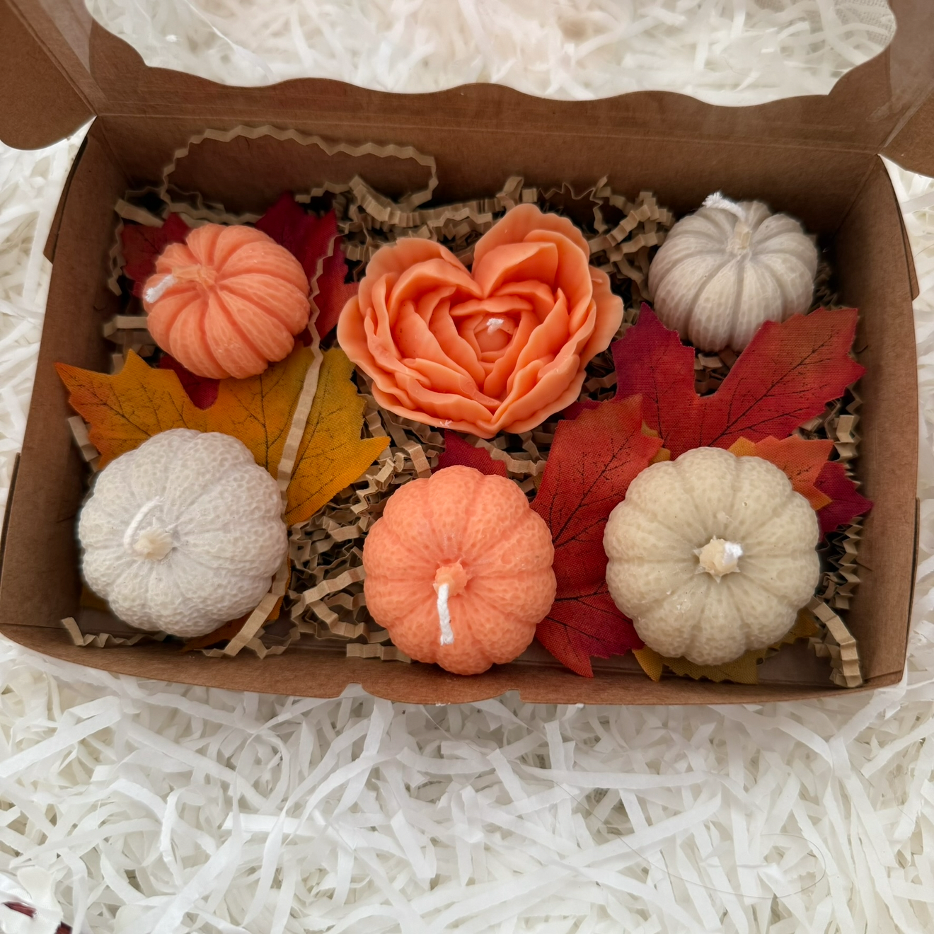 Pumpkin Madness (limited edition)